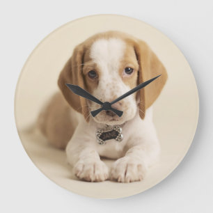 Beagle Puppy Large Clock