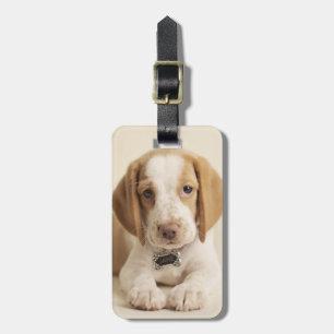 Beagle Puppy Luggage Tag