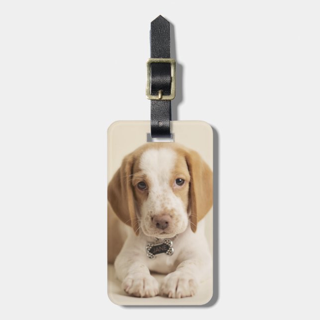 Beagle Puppy Luggage Tag (Front Vertical)