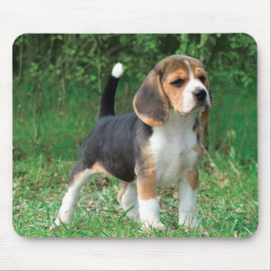 Beagle Puppy Mouse Pad