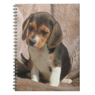 Beagle Puppy Notebook