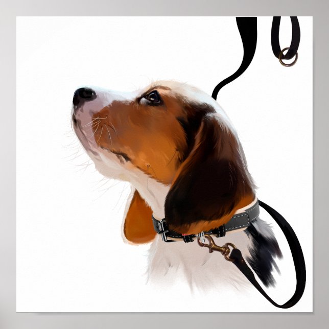 Beagle puppy on a leash poster (Front)