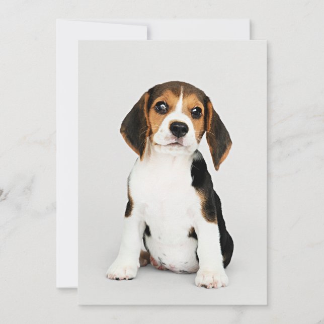Beagle Puppy, unbelievably cute Card (Front)