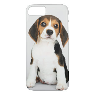Beagle Puppy, unbelievably cute iPhone 8/7 Case