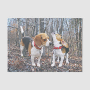 Beagle Pups in the Woods Tissue Paper