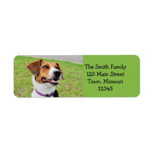Beagle Return Address Label