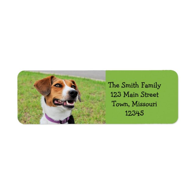 Beagle Return Address Label (Front)