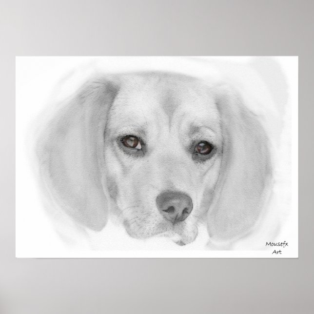 Beagle Sketch Poster (Front)