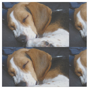 beagle sleeping fabric
