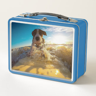 Beagle surfing metal lunch box