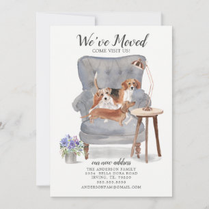 Beagle Terrier & Dachshund   Moving Announcement