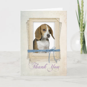 Beagle Thank You Card