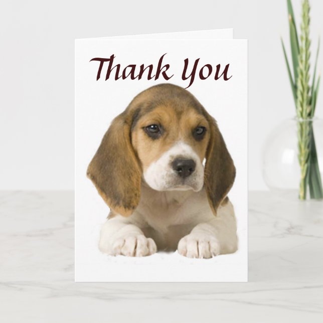 Beagle Thank You Card (Front)