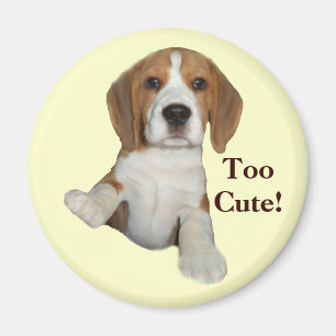 Beagle Too Cute Magnet
