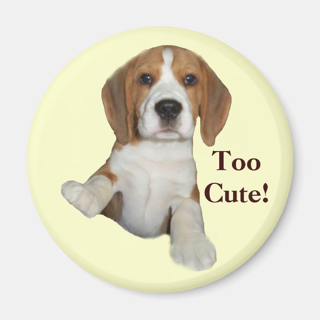 Beagle Too Cute Magnet (Front)