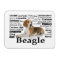Beagle Traits Magnet