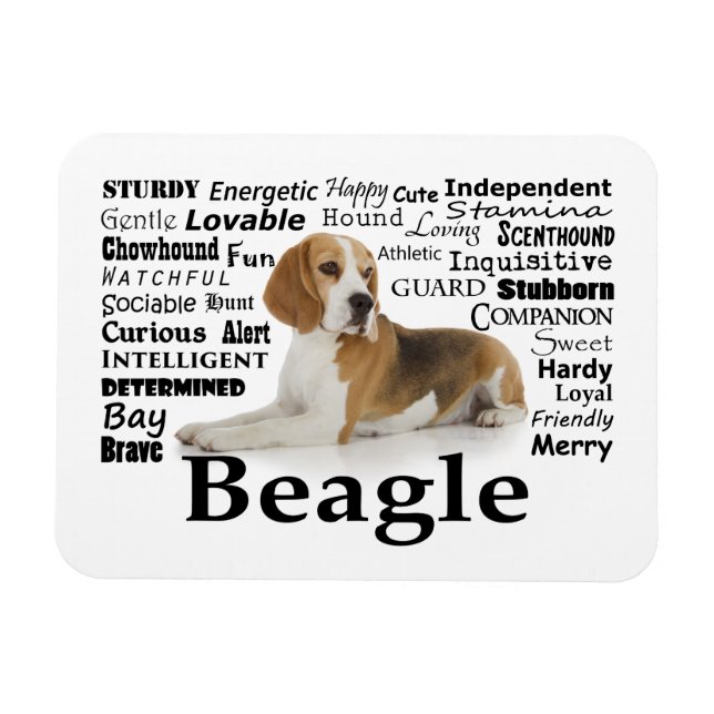 Beagle Traits Magnet (Horizontal)