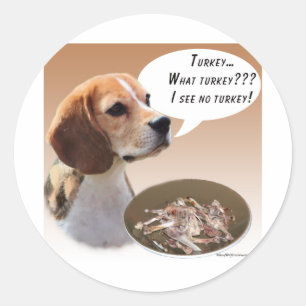 Beagle Turkey Classic Round Sticker