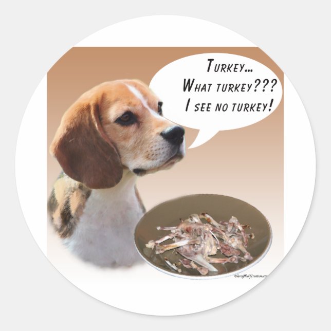 Beagle Turkey Classic Round Sticker (Front)