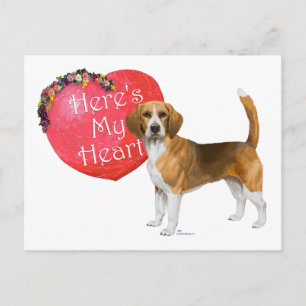 Beagle Valentine Holiday Postcard