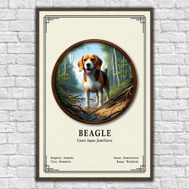 Beagle Zoology Series Poster (Creator Uploaded)