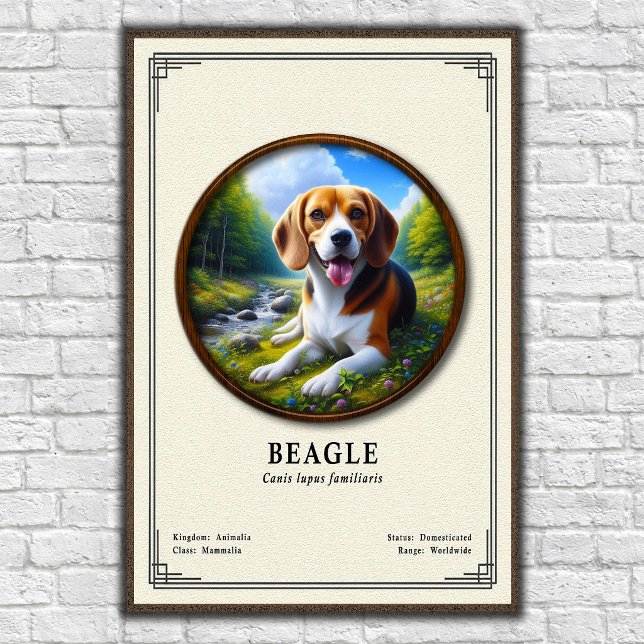 Beagle Zoology Series Poster (Creator Uploaded)
