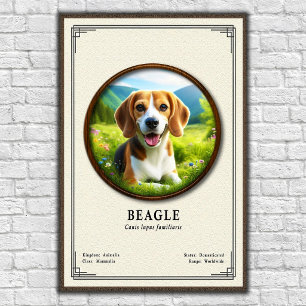 Beagle Zoology Series Poster