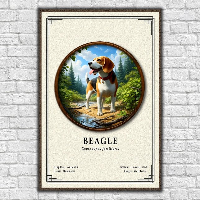 Beagle Zoology Series Poster (Creator Uploaded)