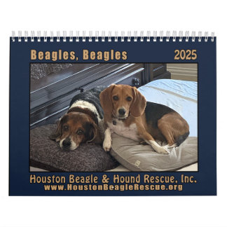 Beagles 2025 wall calendar