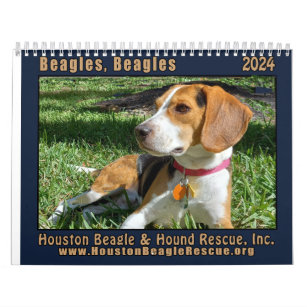 Beagles, Beagles 2024 Wall Calendar