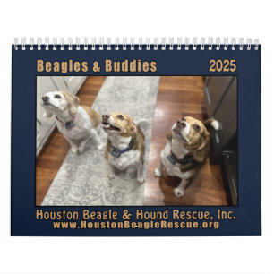 Beagles & Buddies 2025 wall calendar