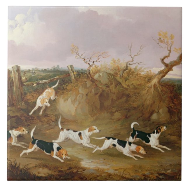Beagles in Full Cry, 1845 (oil on canvas) Ceramic Tile (Front)