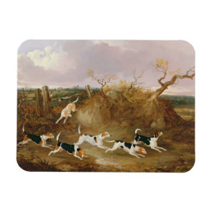 Beagles in Full Cry, 1845 (oil on canvas) Magnet