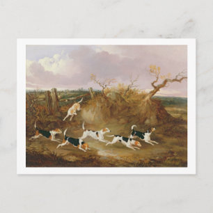 Beagles in Full Cry, 1845 (oil on canvas) Postcard