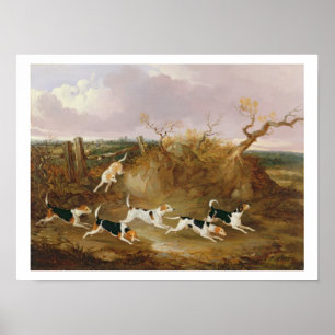 Beagles in Full Cry, 1845 (oil on canvas) Poster