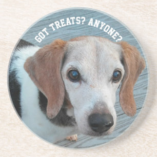 Beagles Love Treats Funny Dog Gift Coaster