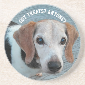 Beagles Love Treats Funny Dog Gift Coaster