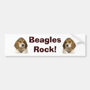 Beagles Rock Bumper Sticker