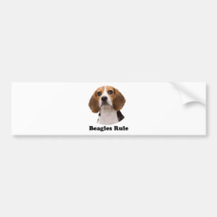 Beagles Rule Bumper Sticker