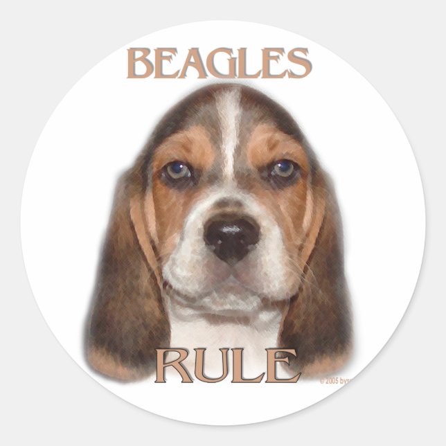 Beagles Rule! Classic Round Sticker (Front)