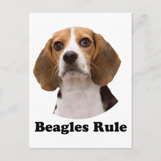 Beagles Rule Postcard