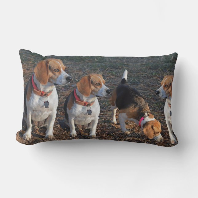 Beagles The More The Merrier Beagle Lumbar Cushion (Front)