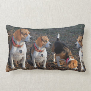 Beagles The More The Merrier Beagle Lumbar Cushion