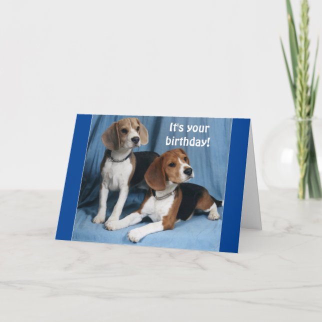 **BEAGLES** WISHING A VERY HAPPY BIRTHDAY** CARD (Front)