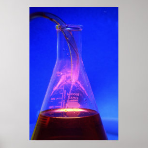 Beaker and Tube Poster