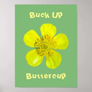 Beaming Buttercup Flower - Buck Up Buttercup. Poster