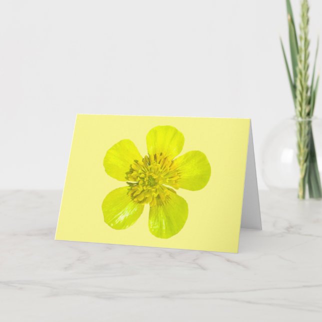 Beaming Buttercup Flower - transparent. Card (Front)