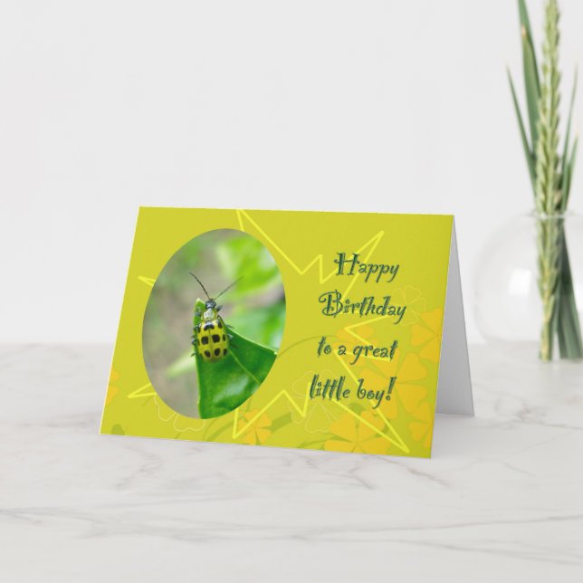 Bean Beetle Little Boy Birthday Card (Front)