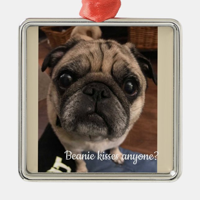 Beanie kissea anyone? metal ornament (Front)