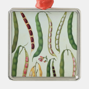 Beans Metal Tree Decoration